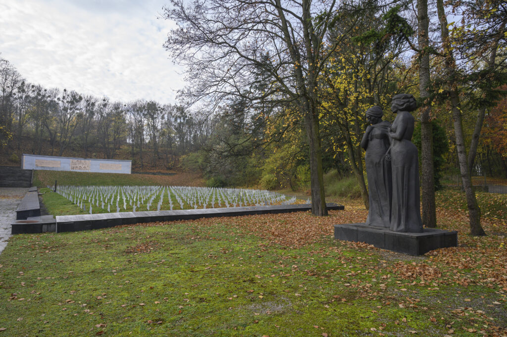 Zdjęcie pola cmentarnego wykonane z ukosa, nad którym góruje pomnik w formie muru z centralnie umieszczoną płaskorzeźbą z piaskowca i dwoma tablicami. Po prawej stronie znajduje się pomnik wykuty w blasze przedstawiający dwie matki – Polkę i Rosjankę, które trzymając się za ręce patrzą na pole cmentarne.