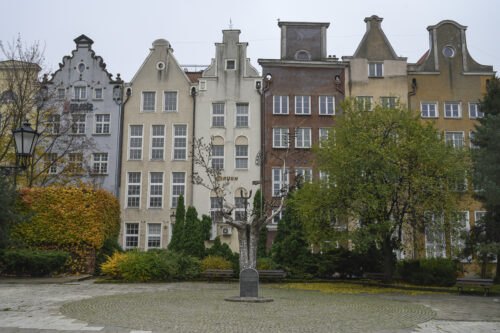 Zdjęcie przedstawia rzeźbę drzewa w przestrzeni miejskiej, wykonaną ze stali. Na jej gałęziach znajdują się pojedyncze liście, zaś pośród nich można dostrzec przedstawicieli różnych gatunków ptactwa, np. kaczkę lub pawia. U podstawy konaru drzewa znajduje się tablica wykonana z ciemnego granitu pokryta jasnoszarymi napisami.