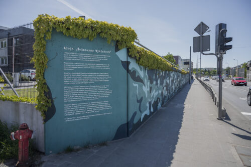 Zdjęcie poziome przedstawiające mural wykonany na części betonowego ogrodzenia ustawionego wzdłuż wielkomiejskiej ulicy. Przedstawienie utrzymane jest w ciemnej, zielono-niebieskiej kolorystyce w różnej tonacji. Jego kompozycja przypomina plamy moro, a niektóre z nich „przeistaczają się” w wilki. Po lewej stronie znajduje się informacją, że ulica nosi nazwę Żołnierzy Wyklętych oraz notę o charakterze popularnonaukowym.