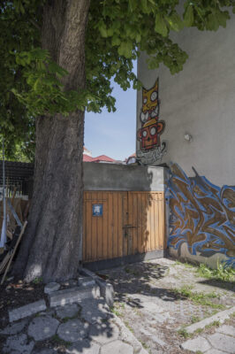 Zdjęcie pionowe przedstawiające mural wykonany na jednej ze ścian zabytkowej kamienicy. Przedstawiono na nim dwa ssaki, prawdopodobnie małpę i kota, w komiksowej, zantropomorfizowanej konwencji. Zwierzęta ustawione są jeden na drugim, co przypomina układ totemiczny. Mural utrzymany jest w intensywnej żółto-pomarańczowej kolorystyce z białymi elementami oraz podpisem artysty.