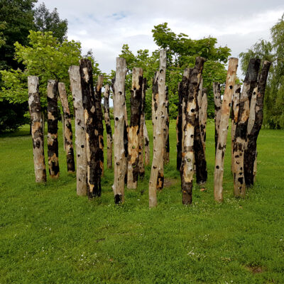 Zdjęcie przedstawiające instalację artystyczną w przestrzeni parkowej. Na jej konstrukcje składa się kilkanaście, niewielkich pni, które zostały gęsto ustawione na planie koła. Ich powierzchnie są stosunkowo opracowane i wygładzone, jednak nie wszystkie zostały pozbawionej swojej ciemnobrązowej kory.