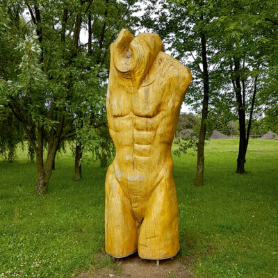 Zdjęcie przedstawiające rzeźbę torsu męskiego w przestrzeni parkowej. Rzeźba została wykonana w pomarańczowo-brązowym drewnie, którego powierzchnia została pozbawiona kory i wygładzona. Ciało ludzkie zostało oddane w sposób realistyczny, nieodrealniony, a jego budowa anatomiczna ma charakter atletyczny.