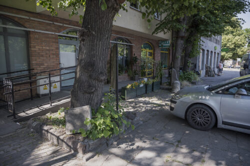 Zdjęcie poziome przedstawiające przestrzeń miejską z pawilonem handlowym. Wzdłuż rampy dla osób z niepełnosprawnością rosną drzewa, u których podstawy zostały ustawione jasnoszare kamienne bryły.