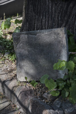 Zdjęcie pionowe ze zbliżeniem na jasnoszarą, kamienną bryłę ustawioną u podstawy drzewa. Na jednej z jej ścian zostały wyryte trudno czytelne napisy w cyrylicy.