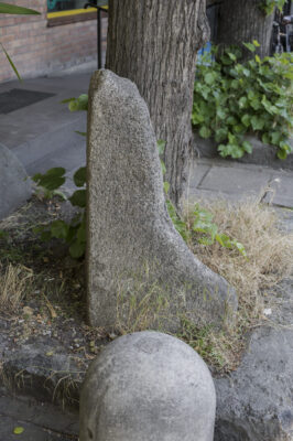 Zdjęcie pionowe ze zbliżeniem na jasnoszarą, kamienną bryłę ustawioną u podstawy drzewa. Jej forma przypomina swoim kształtem wydłużoną i zniekształcona literę „L”.