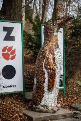 Na fotografii znajduje się rzeźba przedstawiająca pingwina w tle widoczna jest tablica informująca o tym, że jest on na terenie Gdańskiego Ogrodu Zoologicznego. Ptak zwrócony jest dziobem w prawą stronę kadru i znajduje się w jego centrum. Powierzchnię rzeźby wypełnia mozaika składająca się z ceramicznych kostek w kolorach brązu, żółci, czerni i bieli. Zarysowują one oczy, dziób i pozostałe elementy upierzenia pingwina. Widoczny jest mały postument na którym znajduje się rzeźba.