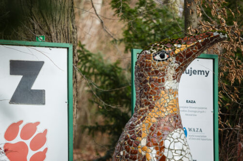 Na fotografii znajduje się rzeźba przedstawiająca pingwina w tle widoczna jest tablica informująca o tym, że jest on na terenie Gdańskiego Ogrodu Zoologicznego. Ptak zwrócony jest dziobem w prawą stronę kadru i znajduje się w jego centrum. Powierzchnię rzeźby wypełnia mozaika składająca się z ceramicznych kostek w kolorach brązu, żółci, czerni i bieli. Zarysowują one oczy, dziób i pozostałe elementy upierzenia pingwina. Widoczny jest mały postument na którym znajduje się rzeźba.