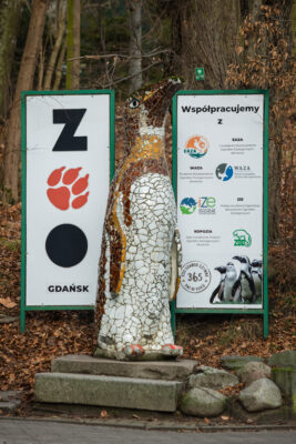 Na fotografii znajduje się rzeźba przedstawiająca pingwina w tle widoczna jest tablica informująca o tym, że jest on na terenie Gdańskiego Ogrodu Zoologicznego. Ptak zwrócony jest dziobem w prawą stronę kadru i znajduje się w jego centrum. Powierzchnię rzeźby wypełnia mozaika składająca się z ceramicznych kostek w kolorach brązu, żółci, czerni i bieli. Zarysowują one oczy, dziób i pozostałe elementy upierzenia pingwina. Widoczny jest mały postument na którym znajduje się rzeźba.