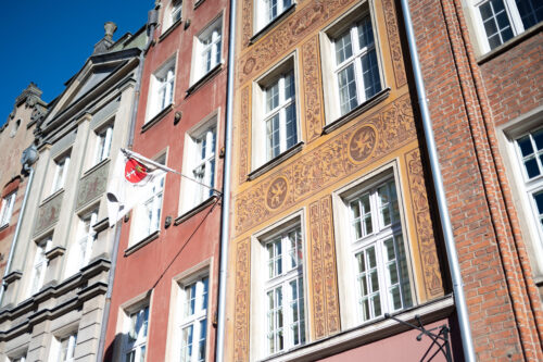 Zdjęcie malarskiej dekoracji architektonicznej, która znajduje się na fasadzie pomarańczowo-żółtej kamienicy. Jest to brązowe, szczegółowo wykonane, sgraffito ścienne. Przedstawia ono bogato zdobioną arabeskę, która otacza dwa, okrągłe medaliony z przedstawieniami gryfów.